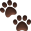 paw prints on Facebook