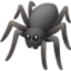 spider on Facebook