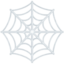 spider web on Facebook