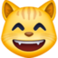 grinning cat with smiling eyes on Facebook