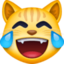 cat with tears of joy on Facebook