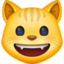 grinning cat on Facebook