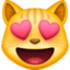 smiling cat with heart-eyes on Facebook