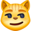 cat with wry smile on Facebook