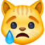 crying cat on Facebook