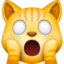weary cat on Facebook