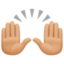 raising hands: medium-light skin tone on Facebook