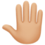 raised back of hand: medium-light skin tone on Facebook