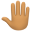 raised back of hand: medium skin tone on Facebook