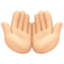 palms up together: light skin tone on Facebook