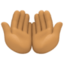 palms up together: medium skin tone on Facebook