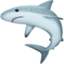 shark on Facebook