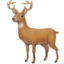 deer on Facebook