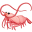 shrimp on Facebook