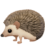 hedgehog on Facebook