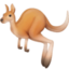 kangaroo on Facebook