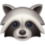 raccoon on Facebook
