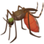 mosquito on Facebook