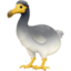 dodo on Facebook