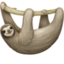 sloth on Facebook