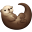 otter on Facebook