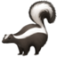 skunk on Facebook