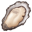 oyster on Facebook
