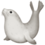 seal on Facebook