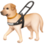 guide dog on Facebook