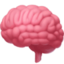 brain on Facebook