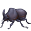 beetle on Facebook