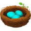 nest with eggs on Facebook