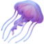 jellyfish on Facebook