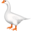 goose on Facebook