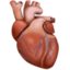 anatomical heart on Facebook