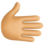 rightwards hand: medium skin tone on Facebook