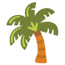 palm tree on Google