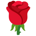 rose on Google