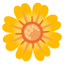 blossom on Google