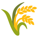 sheaf of rice on Google