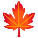maple leaf on Google