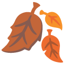 fallen leaf on Google