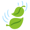 leaf fluttering in wind on Google
