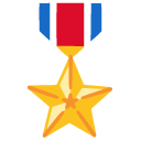 military medal on Google