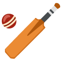 cricket game on Google