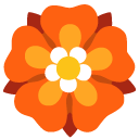 rosette on Google