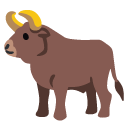 ox on Google