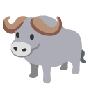 water buffalo on Google