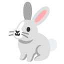 rabbit on Google