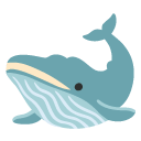 whale on Google